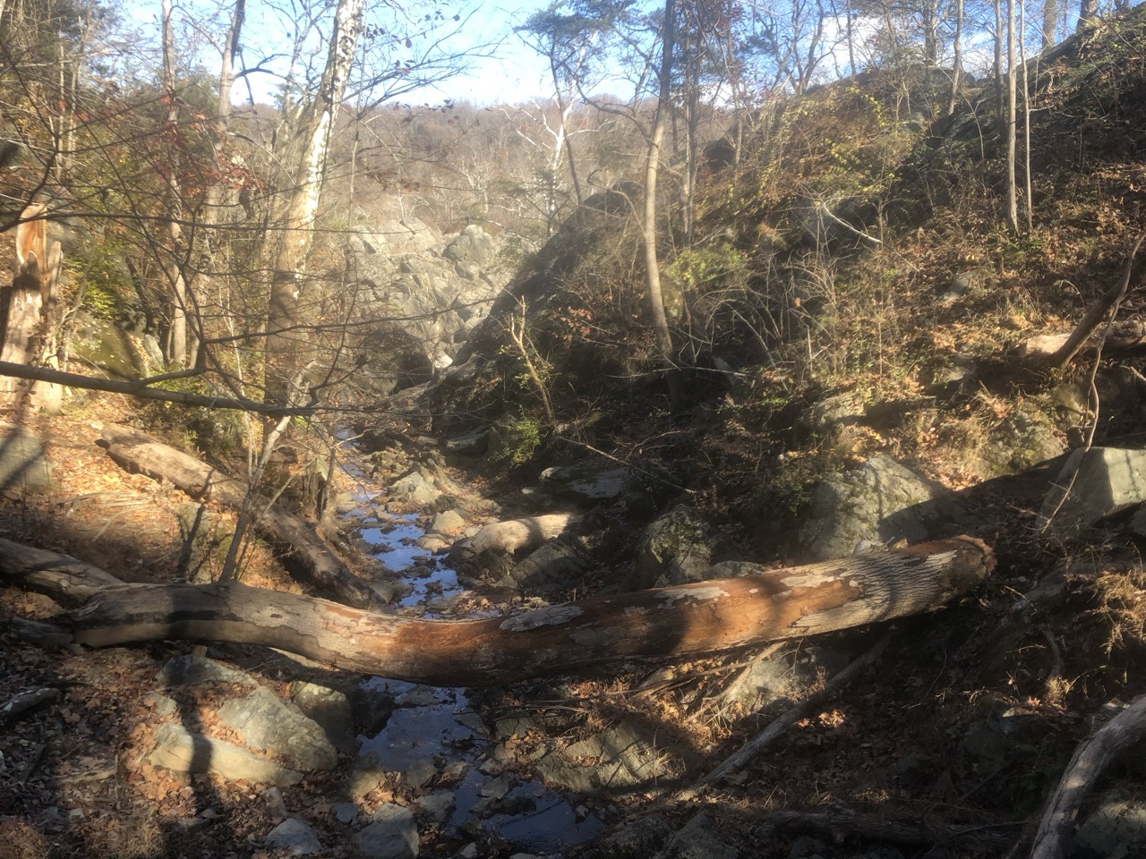 a fallen tree with a shallow creek settled below surrounded by rocks and other trees