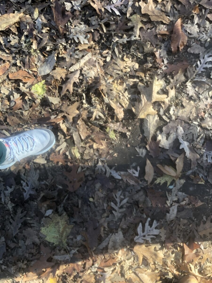 The image shows a writer's foot walk on a path covered with leaves